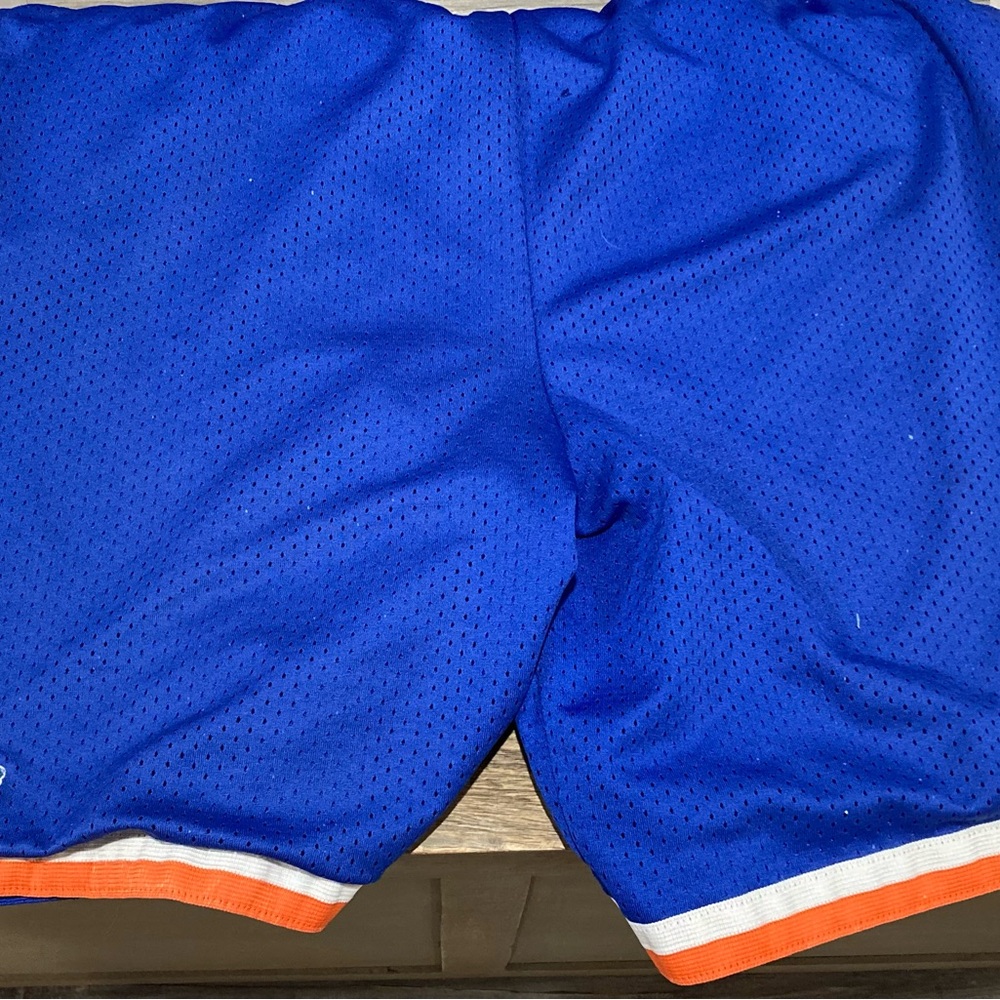 Nike Mens Florida Gator Basketball shorts